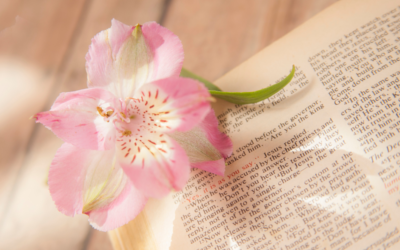 How does language influence our understanding of the Bible?