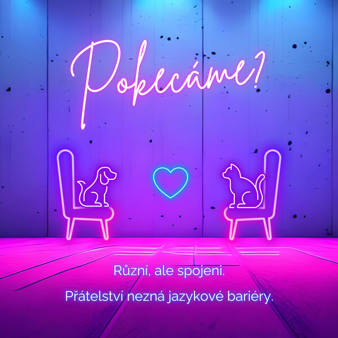 Slovíčka hravě